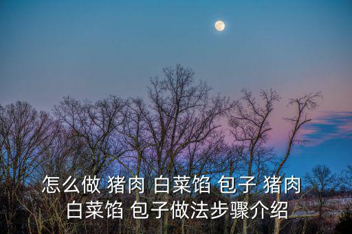 怎么做 豬肉 白菜餡 包子 豬肉 白菜餡 包子做法步驟介紹