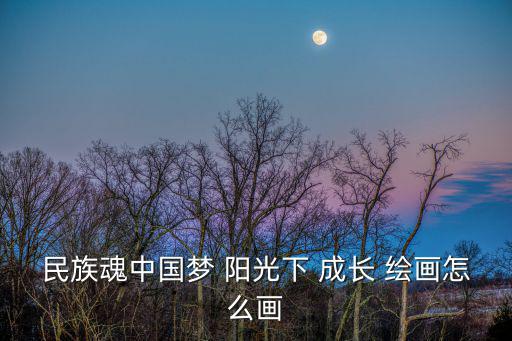 民族魂中國夢 陽光下 成長 繪畫怎么畫