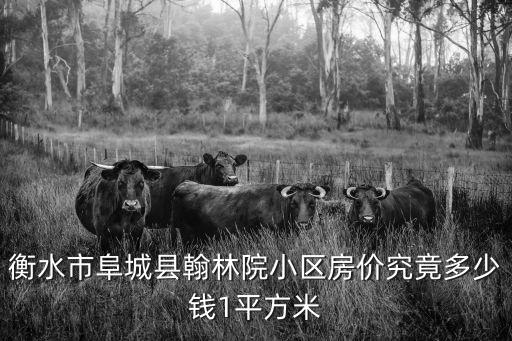 衡水市阜城縣翰林院小區房價究竟多少錢1平方米