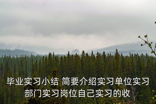 畢業(yè)生實習(xí)總結(jié)，畢業(yè)實習(xí)小結(jié) 簡要介紹實習(xí)單位實習(xí)部門實習(xí)崗位自己實習(xí)的收