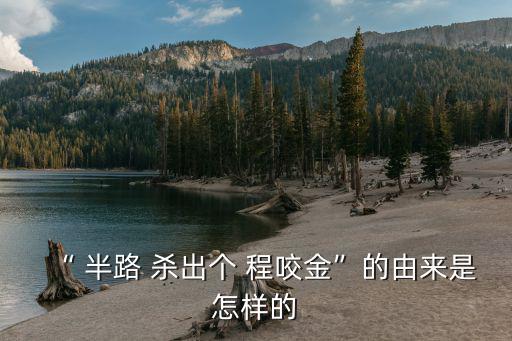 半路殺出個程咬金是什么意思,為何半路殺出one程咬金?