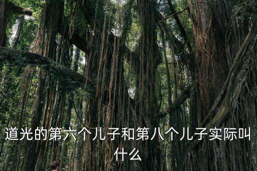 道光的兒子，余光中的兒子叫啥名