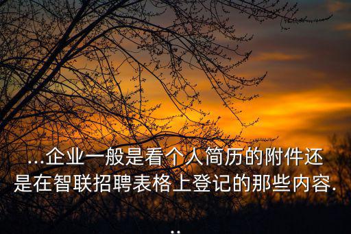 ...企業一般是看個人簡歷的附件還是在智聯招聘表格上登記的那些內容...