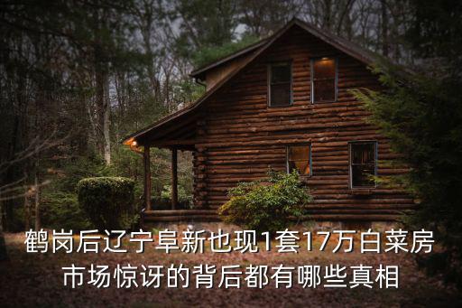 鶴崗后遼寧阜新也現1套17萬白菜房市場驚訝的背后都有哪些真相