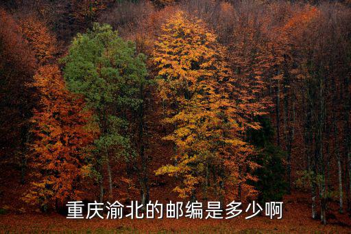 重慶市渝北區南岸區郵編，重慶渝北的郵編是多少啊