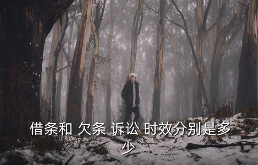  借條和 欠條 訴訟 時效分別是多少