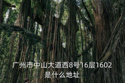 廣州市中山大道西8號16層1602是什么地址