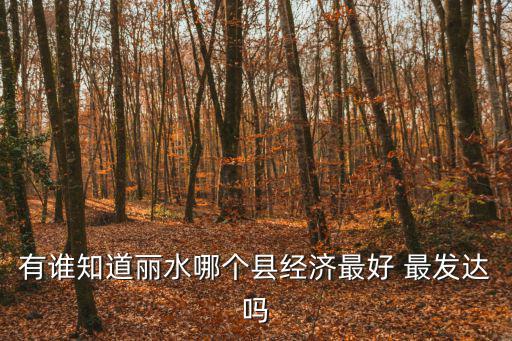 有誰(shuí)知道麗水哪個(gè)縣經(jīng)濟(jì)最好 最發(fā)達(dá)嗎
