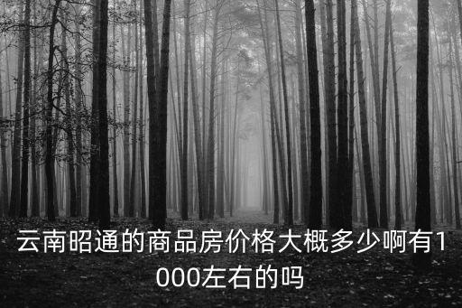 云南昭通的商品房價格大概多少啊有1000左右的嗎