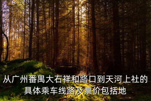 從廣州番禺大石祥和路口到天河上社的具體乘車線路及票價包括地