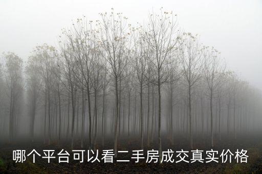哪個(gè)平臺(tái)可以看二手房成交真實(shí)價(jià)格