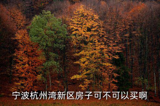 杭州灣新區房價如何，杭州灣茹海苑出售的咋樣了