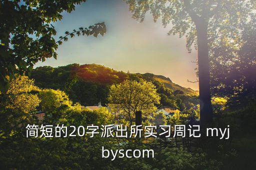 簡短的20字派出所實習周記 myjbyscom