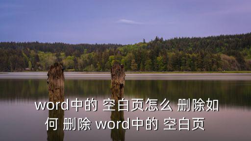  word中的 空白頁怎么 刪除如何 刪除 word中的 空白頁