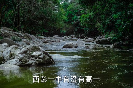 重慶市西彭第一中學，西彭一中有沒有高一
