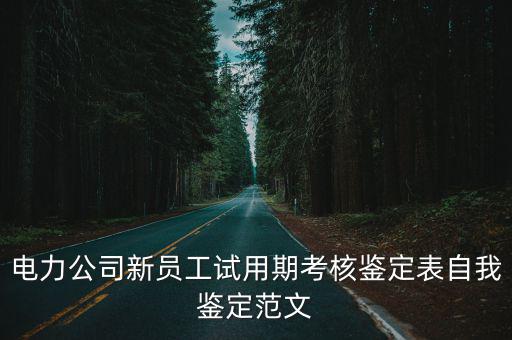 電力公司新員工試用期考核鑒定表自我鑒定范文