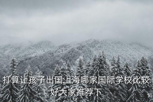 打算讓孩子出國上海哪家國際學校比較好大家推薦下