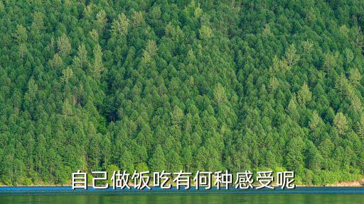 做飯的感受,沒人評價好不好吃自己動手解悶