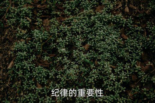 紀律的重要性