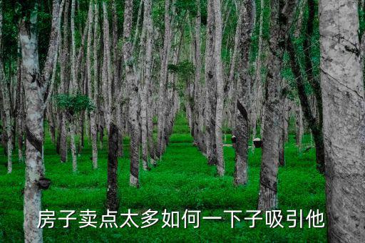 房子賣點太多如何一下子吸引他