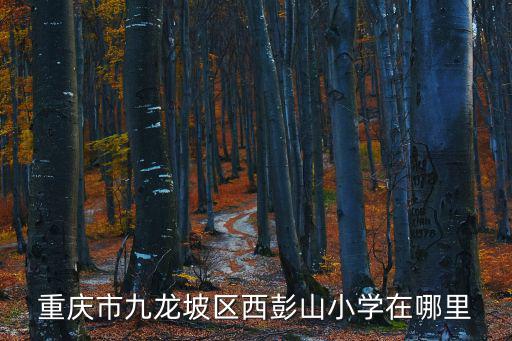 重慶市九龍坡區西彭山小學在哪里