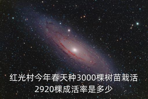 紅光村今年春天種3000棵樹苗栽活2920棵成活率是多少