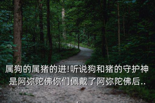 屬狗的屬豬的進!聽說狗和豬的守護神是阿彌陀佛你們佩戴了阿彌陀佛后...