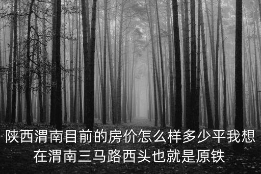 陜西渭南目前的房?jī)r(jià)怎么樣多少平我想在渭南三馬路西頭也就是原鐵
