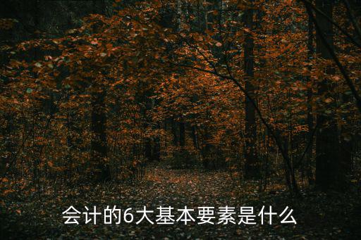 會計的6大基本要素是什么