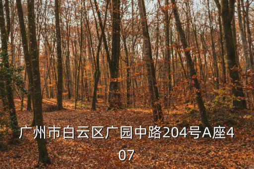 廣州市白云區廣園中路204號A座407