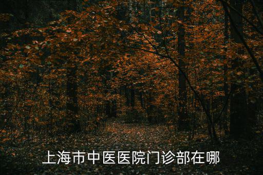 上海市中醫醫院門診部電話，上海市中醫醫院門診部在哪