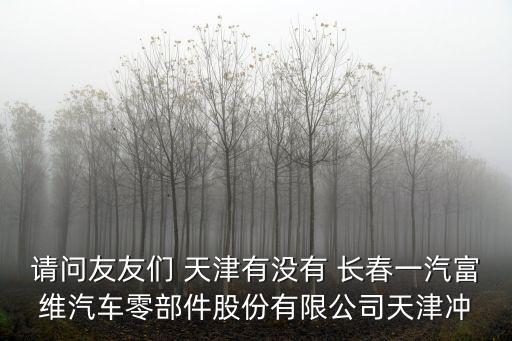 請問友友們 天津有沒有 長春一汽富維汽車零部件股份有限公司天津沖