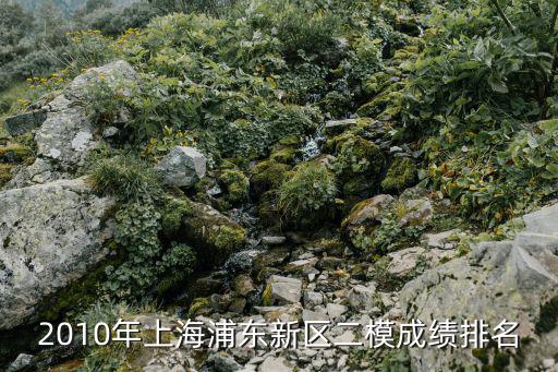 2010年上海浦東新區二模成績排名