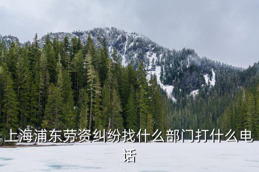 上海浦東勞資糾紛找什么部門打什么電話
