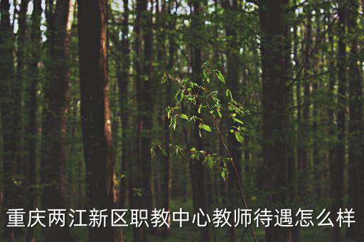 重慶兩江新區(qū)職教中心教師待遇怎么樣