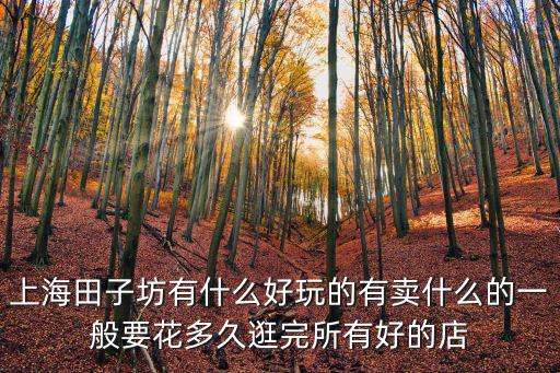 上海田子坊有什么好玩的有賣什么的一般要花多久逛完所有好的店