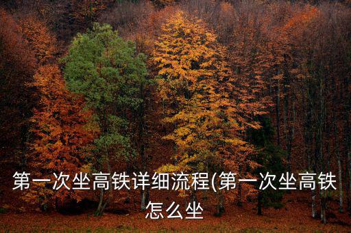 第一次坐高鐵流程,【第一次坐高鐵怎么坐?