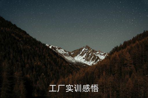 工廠實訓感悟