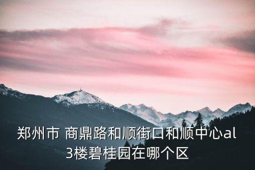 鄭州市 商鼎路和順街口和順中心al3樓碧桂園在哪個區(qū)