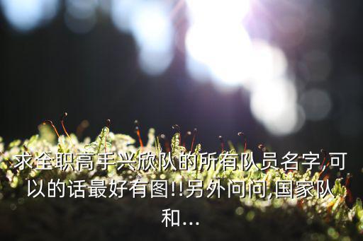 求全職高手興欣隊的所有隊員名字,可以的話最好有圖!!另外問問,國家隊和...