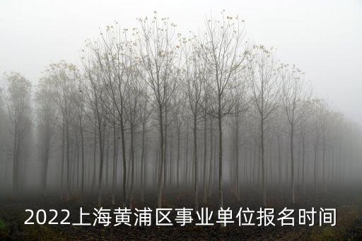 2022年上海事業單位網站，上海事業單位網站報名時間晚上可以不