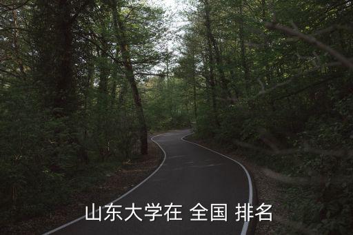  山東大學在 全國 排名