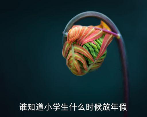 今年上海市小學(xué)幾號放年假，誰知道小學(xué)生什么時(shí)候放年假