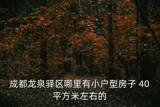 成都龍泉驛區哪里有小戶型房子 40平方米左右的