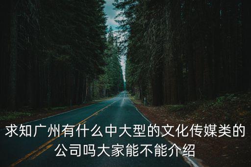 求知廣州有什么中大型的文化傳媒類的公司嗎大家能不能介紹