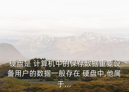硬盤是計算機的,兩種計算機存儲技術(shù)概況及答案