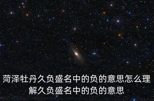 菏澤牡丹久負盛名中的負的意思怎么理解久負盛名中的負的意思
