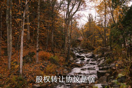 股權轉讓協議是啥