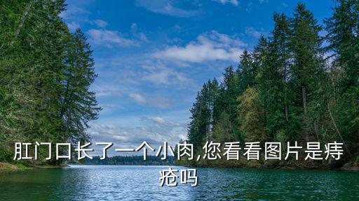 肛門口長了一個小肉,您看看圖片是痔瘡嗎