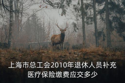 上海市總工會2010年退休人員補充醫(yī)療保險繳費應交多少